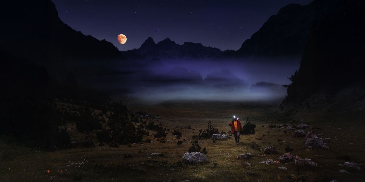 Your Place Under the Sun