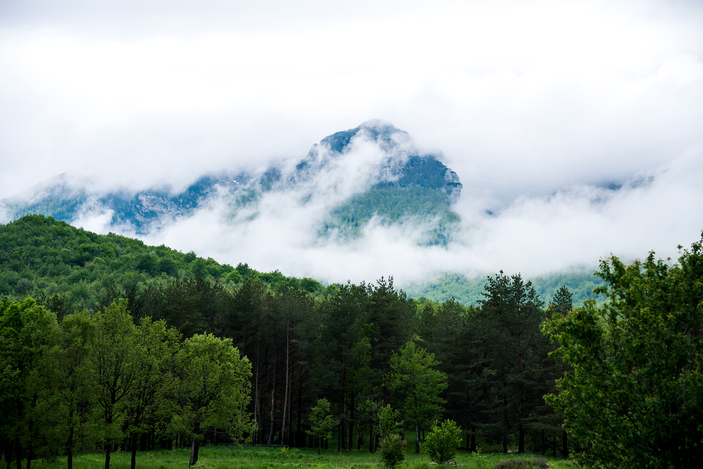 Gallery item 2553bb7f-1d88-410f-bcb4-35a3cd9071b0