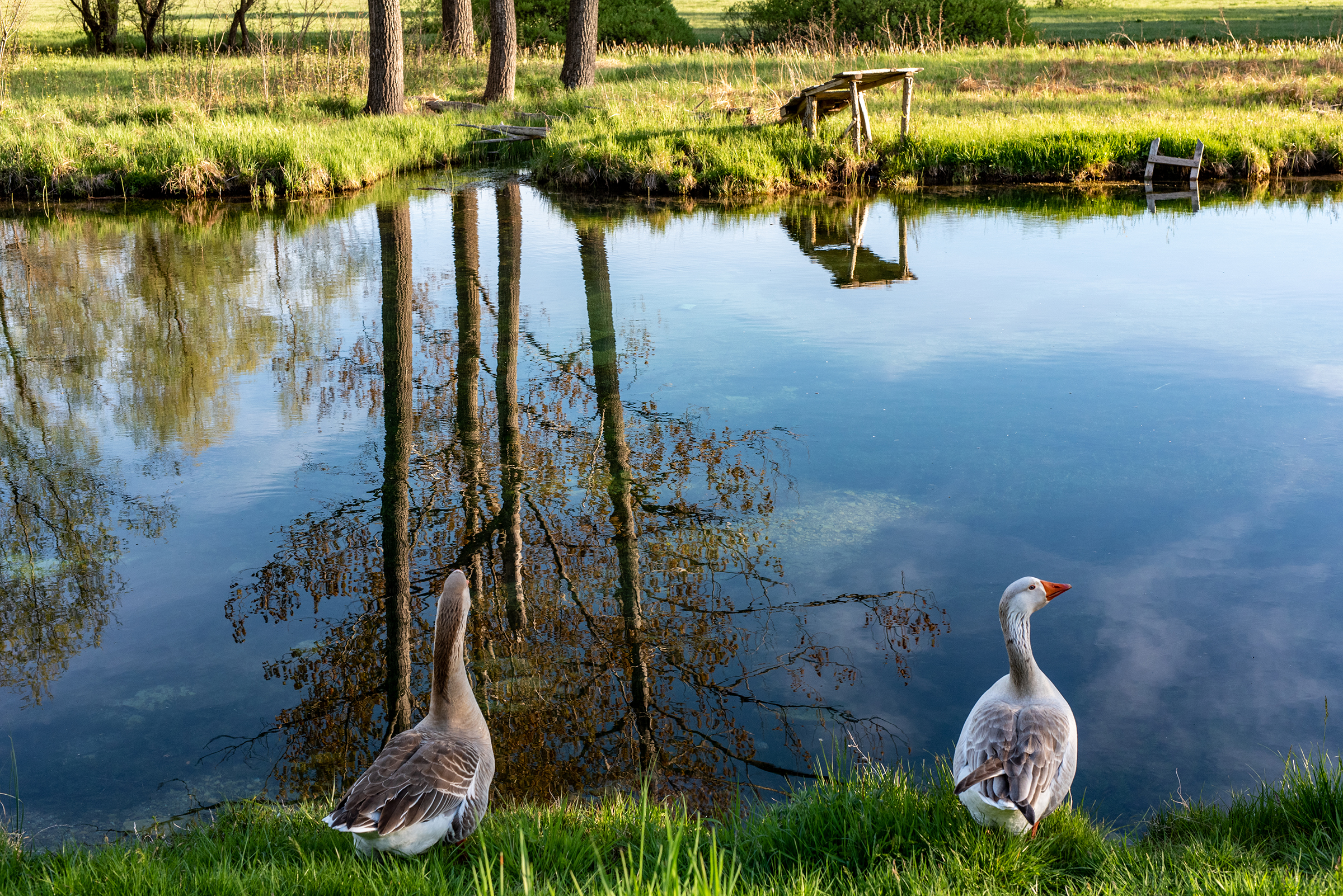 Gallery item 7568e729-3856-44b9-9122-11f9934e43f2