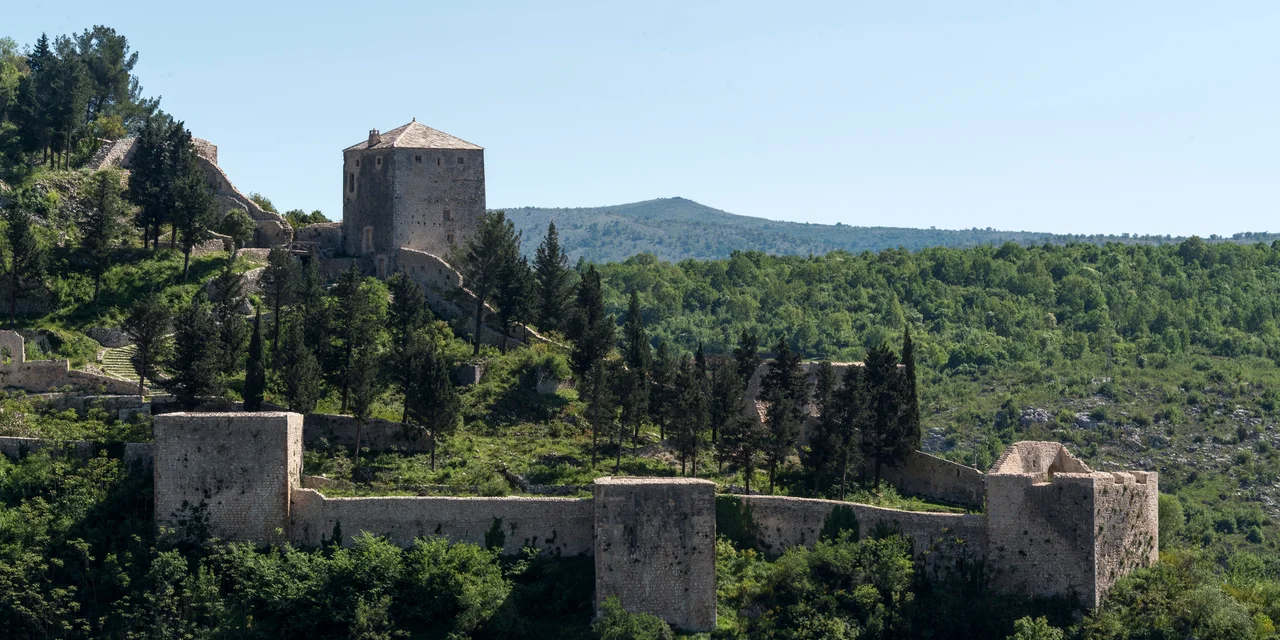 A walk through history