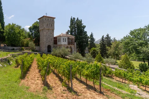 Herzegovina Wine Route